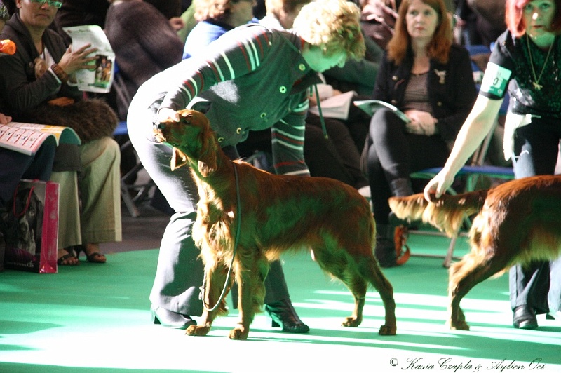 Crufts2011 060.jpg